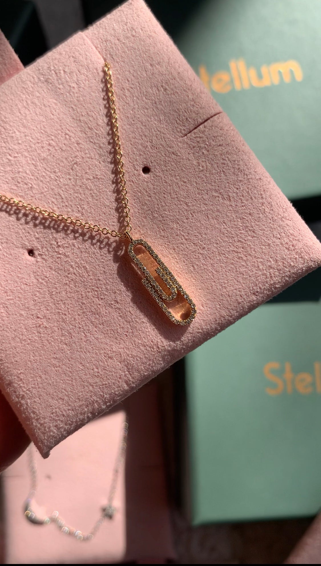 Collar Clip